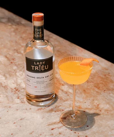 6.Lady-Trieu-Mekong-Gin-Marmalade-Martini-Cocktail